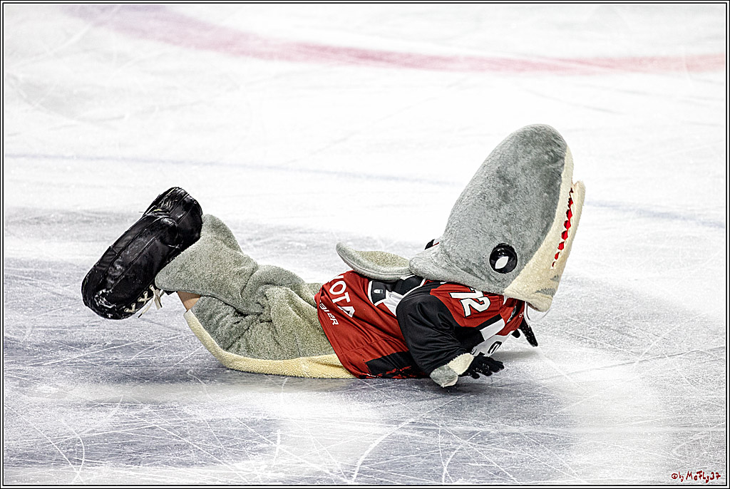 DEL; Koelner Haie - Schwenninger Wild Wings, 06.12.2018